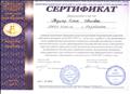 Сертификат участника международного дистанционного информационно-образовательного проекта "Медиация в образовании"